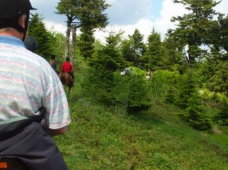  Turismo ecuestre en el Departamento de Loira 